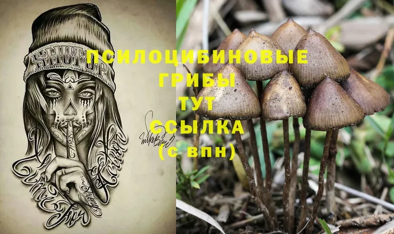 Галлюциногенные грибы Cubensis  Сорочинск 